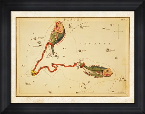 Framed Pisces Zodiac Sign Print