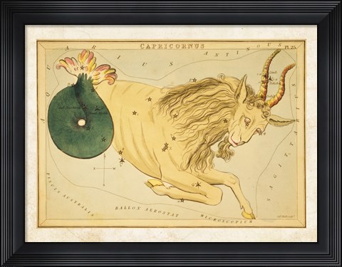 Framed Capricornus Zodiac Sign Print