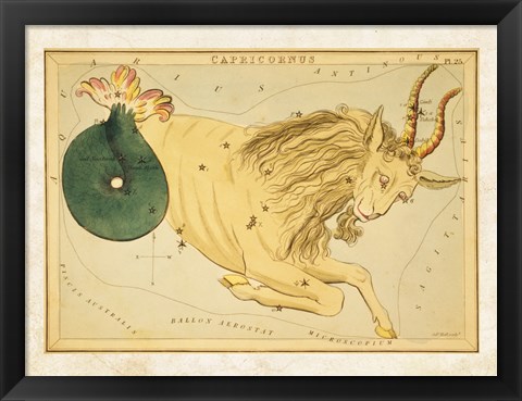 Framed Capricornus Zodiac Sign Print