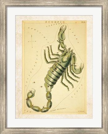 Framed Scorpio Zodiac Sign Print