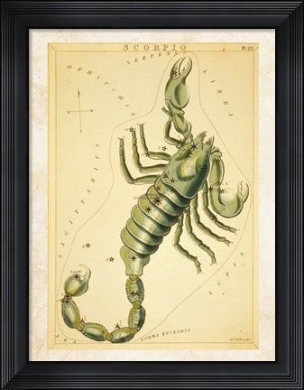 Framed Scorpio Zodiac Sign Print