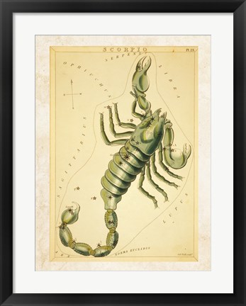 Framed Scorpio Zodiac Sign Print