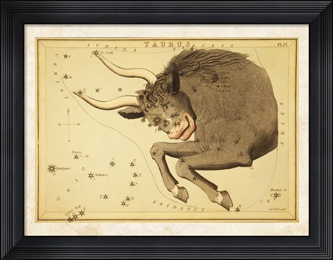 Framed Taurus Zodiac Sign Print