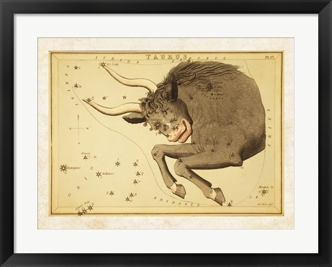 Framed Taurus Zodiac Sign Print