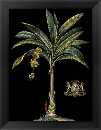 Framed Palm &amp; Crest on Black I Print