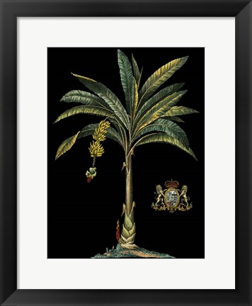 Framed Palm &amp; Crest on Black I Print