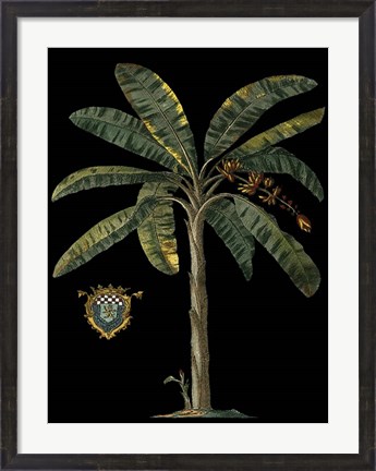 Framed Palm &amp; Crest on Black II Print
