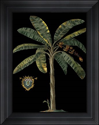 Framed Palm &amp; Crest on Black II Print