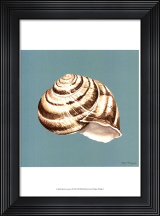 Framed Shell on Aqua I Print
