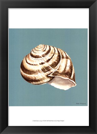 Framed Shell on Aqua I Print