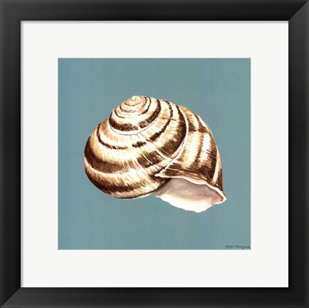 Framed Shell on Aqua I Print