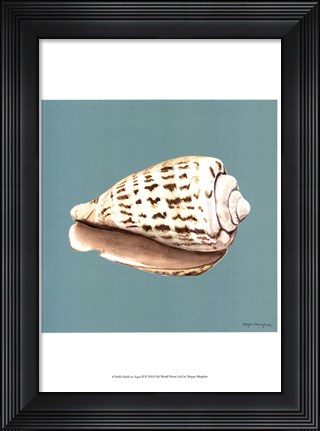 Framed Shell on Aqua II Print