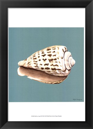Framed Shell on Aqua II Print