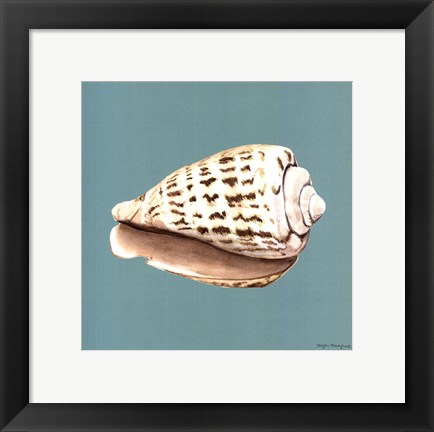 Framed Shell on Aqua II Print