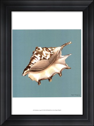 Framed Shell on Aqua IV Print