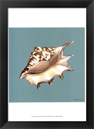 Framed Shell on Aqua IV Print