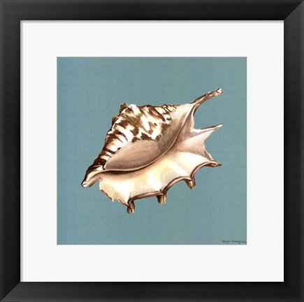 Framed Shell on Aqua IV Print