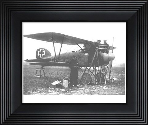 Framed Albatos D.III Print