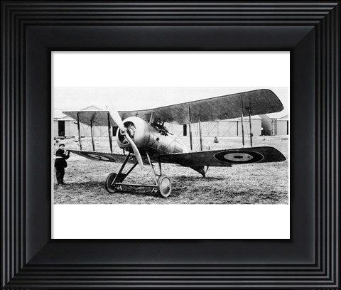 Framed Gloster Nightjar Print