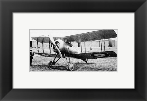 Framed Gloster Nightjar Print