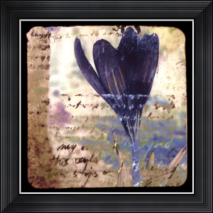 Framed Blooming Purple I Print