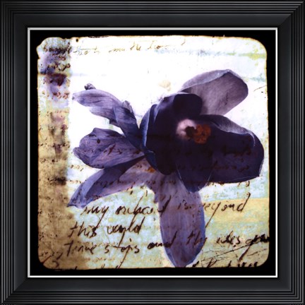 Framed Blooming Purple II Print