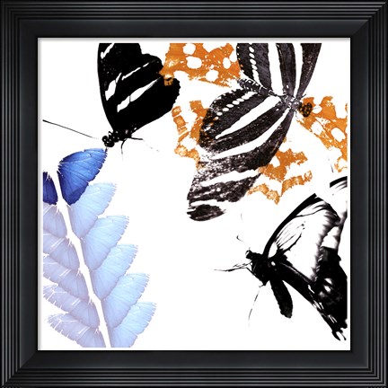 Framed Butterfly Infloresence II Print