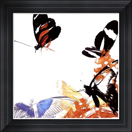 Framed Butterfly Infloresence IV Print