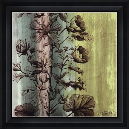 Framed Painted Botanical II Print