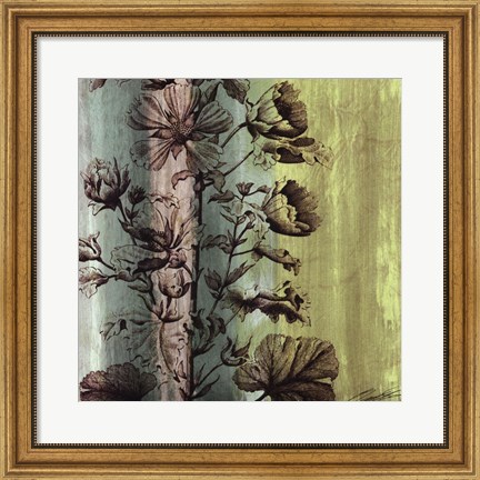 Framed Painted Botanical II Print