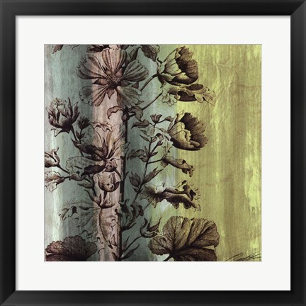 Framed Painted Botanical II Print