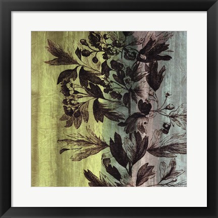 Framed Painted Botanical III Print