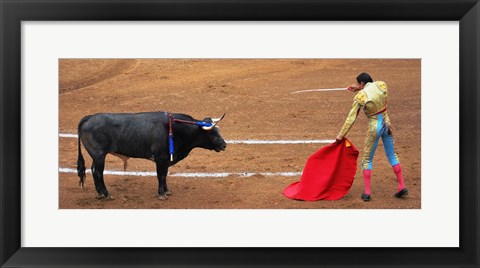 Framed Bull and Matador Stand Off Print