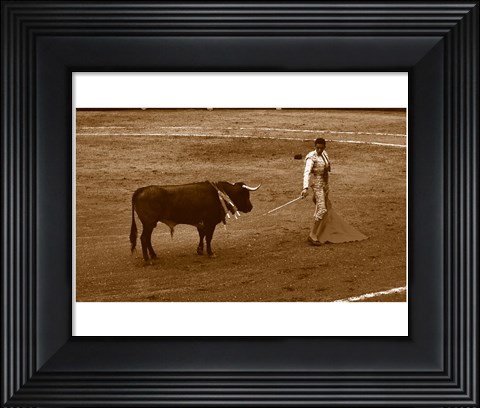 Framed Matador and Bull Print