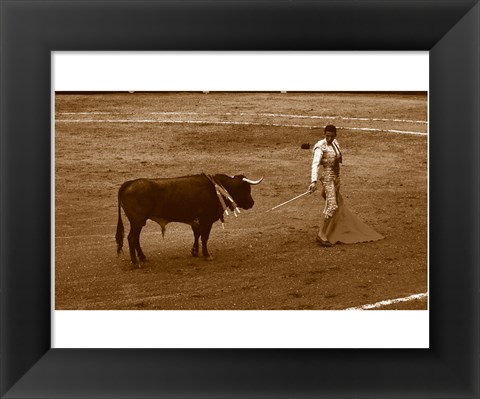 Framed Matador and Bull Print