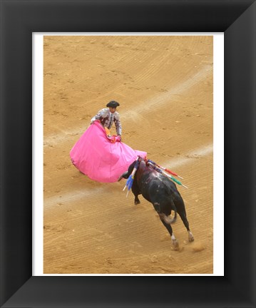 Framed Matador Bullfight Print