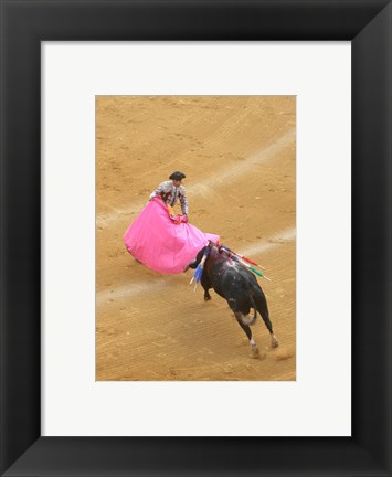 Framed Matador Bullfight Print