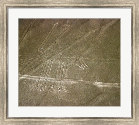 Framed Nazca Lines Dog Print