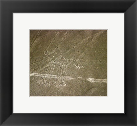 Framed Nazca Lines Dog Print