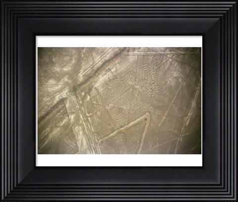 Framed Nazca Lines Symbol Print