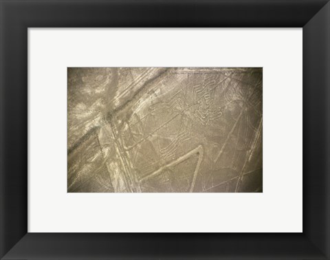 Framed Nazca Lines Symbol Print