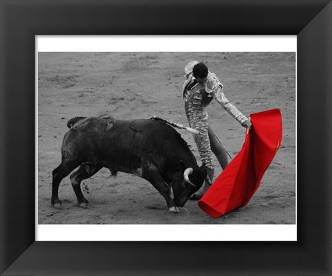 Framed Red Matador II Print