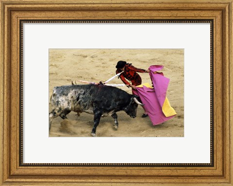 Framed High angle view of a matador fighting with a bull, Spain Print