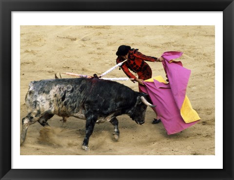 Framed High angle view of a matador fighting with a bull, Spain Print