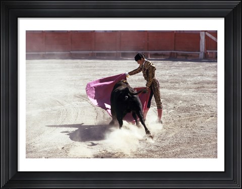 Framed Matador fighting with a bull, Spain Print