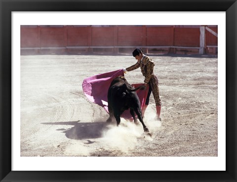 Framed Matador fighting with a bull, Spain Print