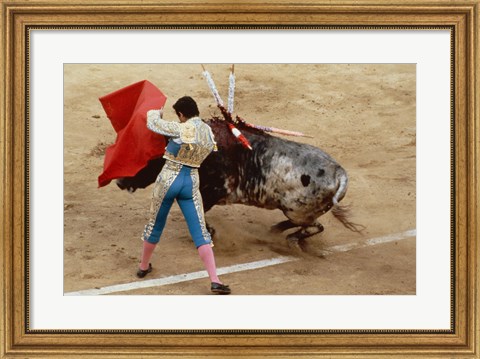 Framed Matador fighting a bull, Plaza de Toros, Ronda, Spain Print