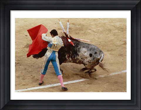 Framed Matador fighting a bull, Plaza de Toros, Ronda, Spain Print