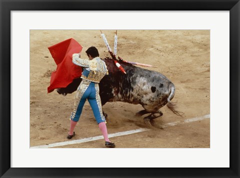 Framed Matador fighting a bull, Plaza de Toros, Ronda, Spain Print