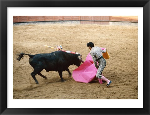 Framed Matador fighting a bull, Plaza de Toros, Ronda, Spain Print